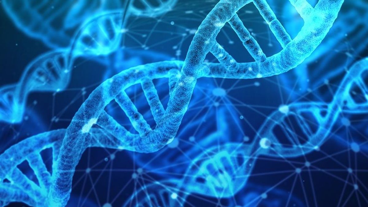 Descubren 11 nuevos genes asociados a la epilepsia