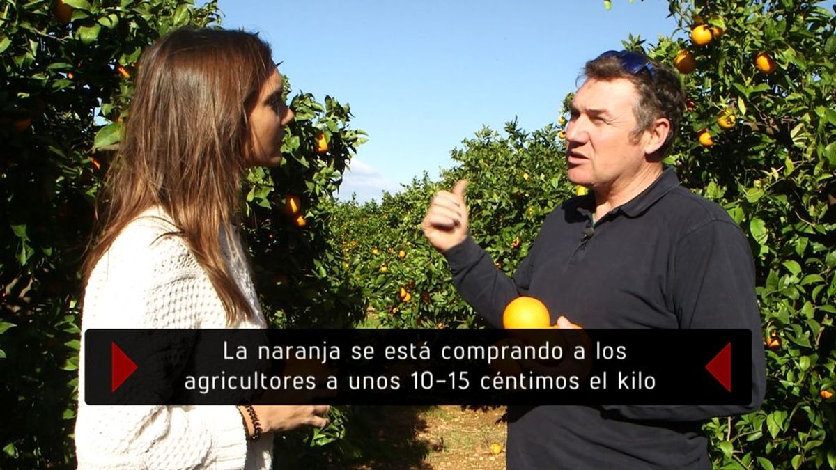 'En el punto de mira' habla con los agricultores sobre el precio de las naranjas.