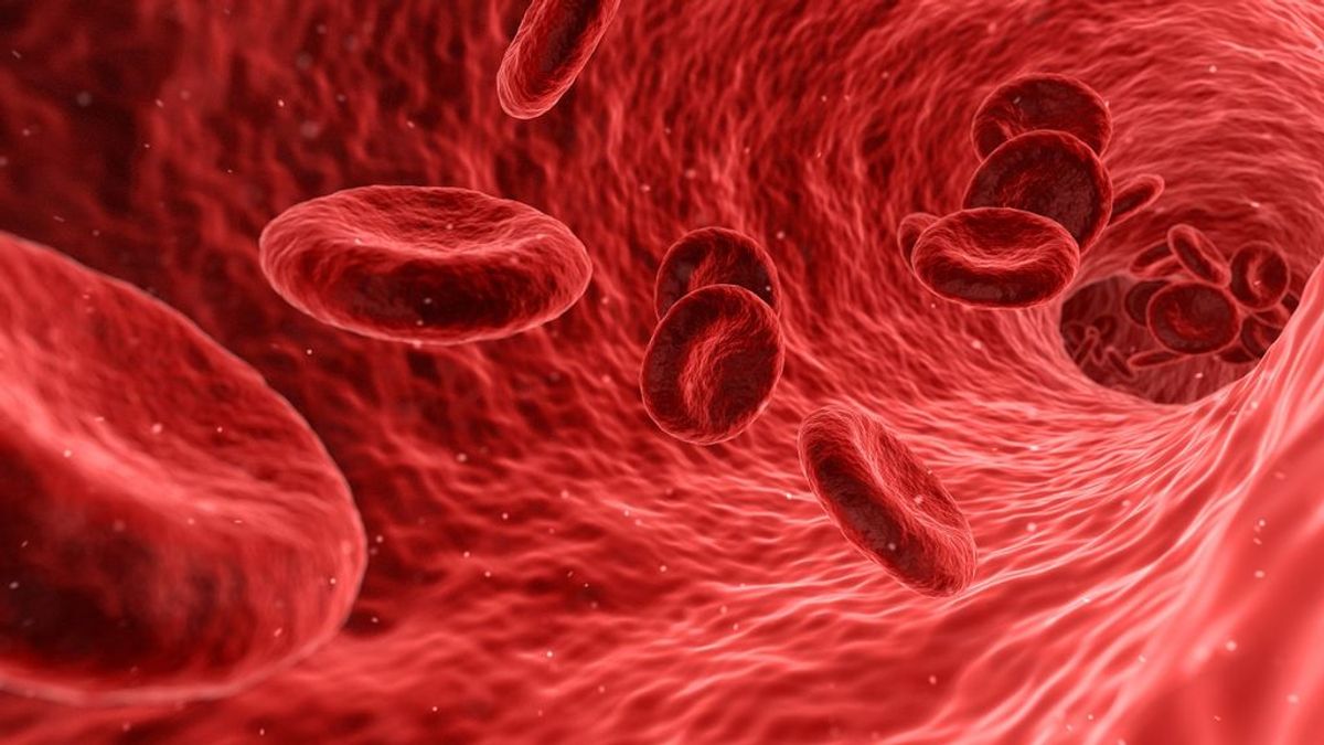 Descubre cómo se regula la glucosa en sangre al hacer ejercicio Descubre cómo se regula la glucosa en sangre al hacer ejercicio
