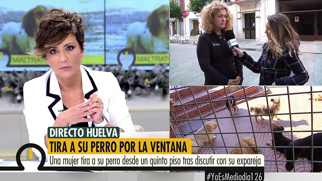 Una mujer arroja a un cachorro de labrador desde un quinto piso tras una discusión con su expareja