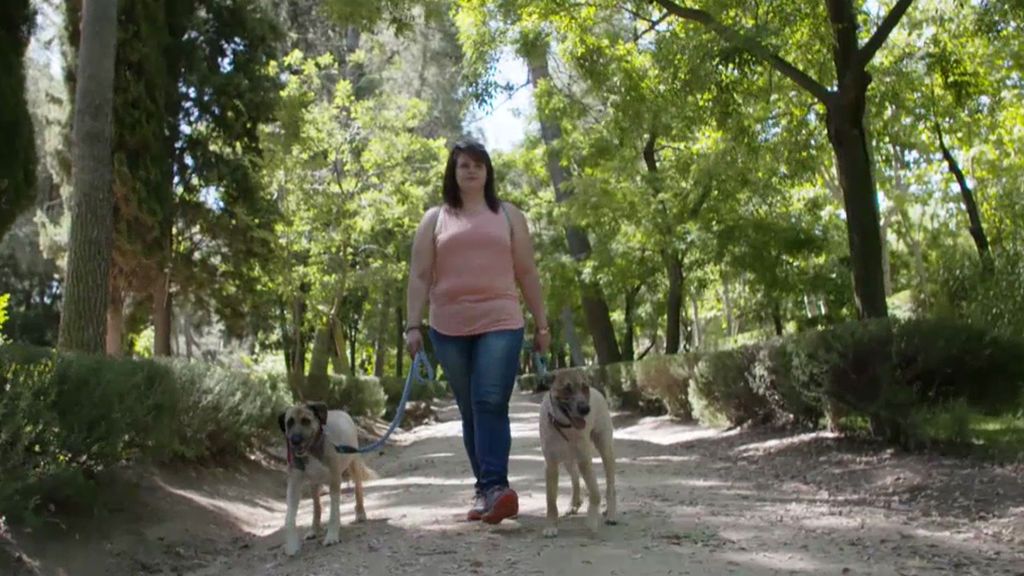 vlcsnap-2018-12-17-19h14m52s502