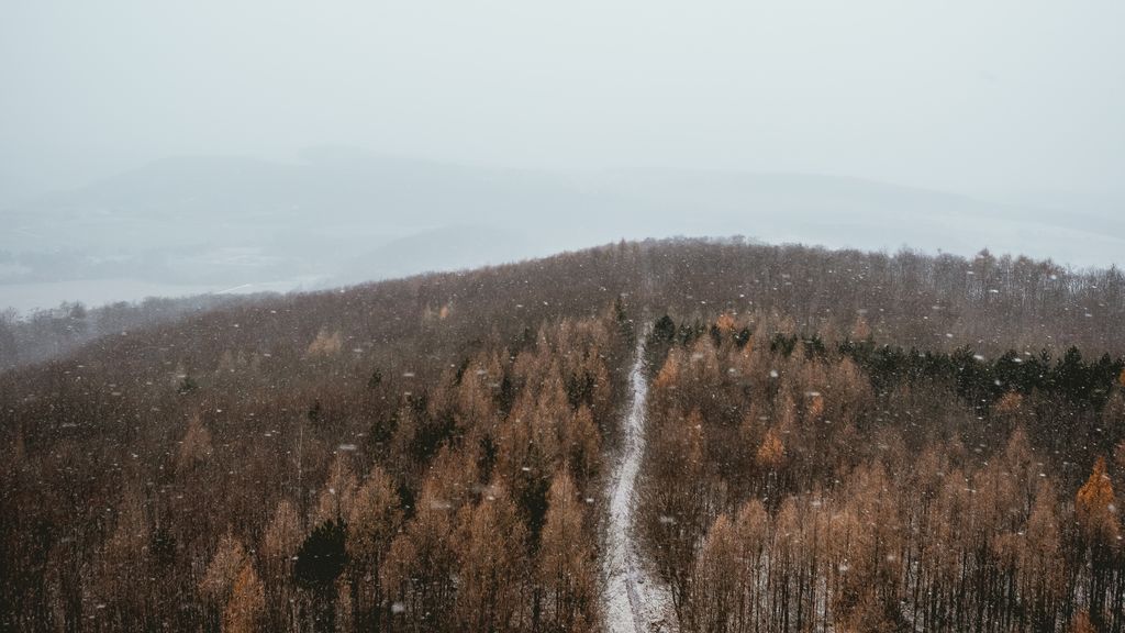 Más lluvia de lo normal y otras peculiaridades: así va a ser el invierno 2019