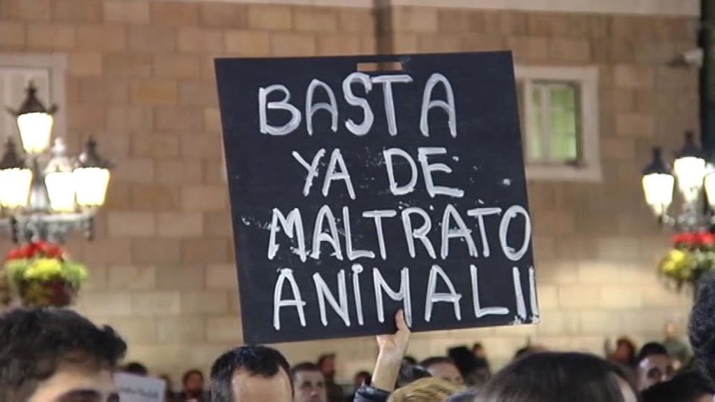 El movimiento animalista se indigna con la muerte de Sota