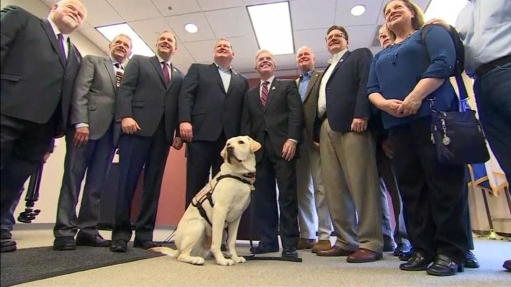 Sully, el perro de George Bush, a la espera de ser asignado a otro veterano de guerra