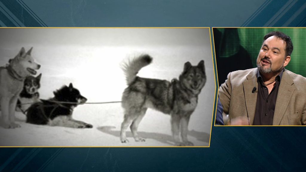 Los perros que salvaron a todo un pueblo: la heroica historia de Balto y compañía
