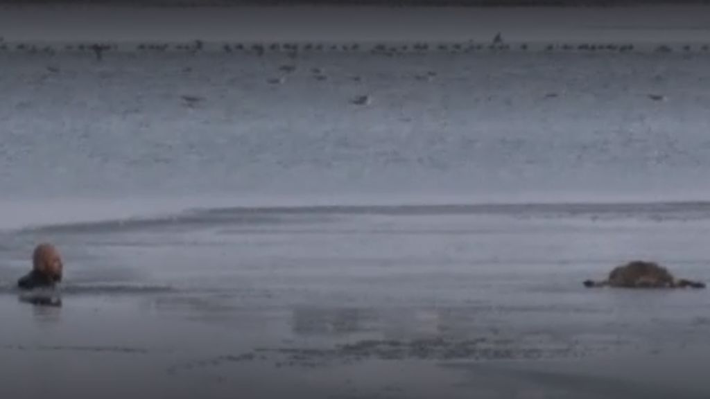 Espectacular rescate de un perro en un lago helado en Turquía