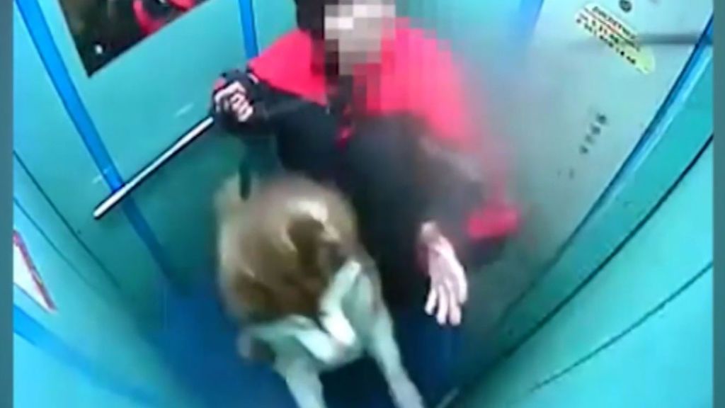 Accidente en un ascensor:  El perro, a punto de morir estrangulado al quedar atrapado por la puerta