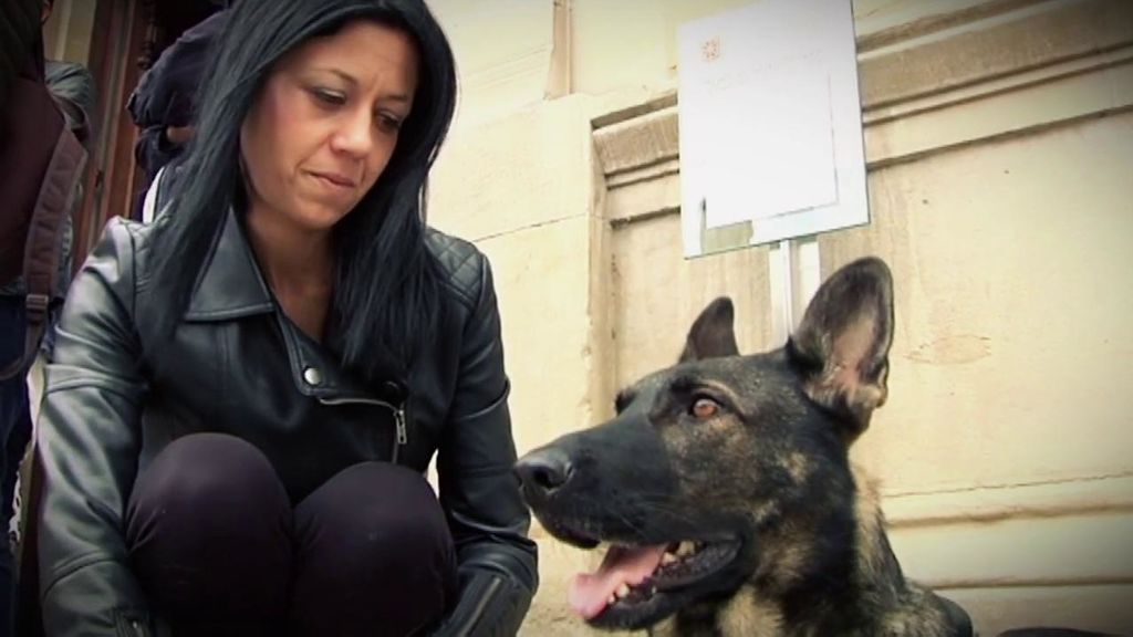 La lucha de una mujer maltratada para que su perro pueda acompañarla en los lugares públicos