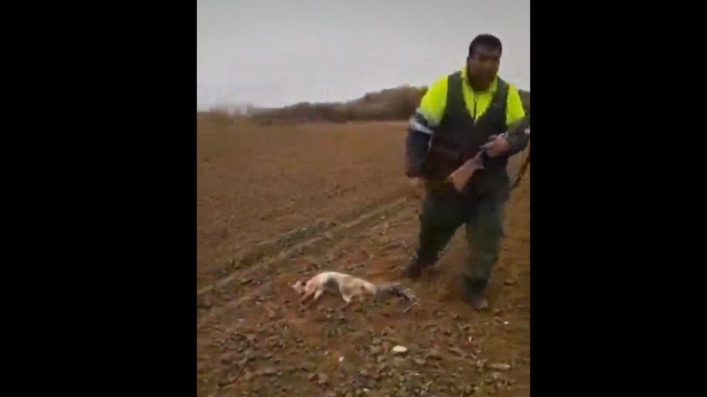 El cruel asesinato de un zorro cojo indigna a las redes