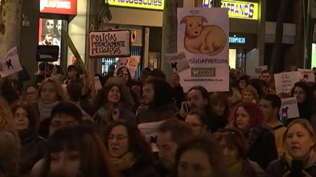 Un millar de personas se manifiestan en Barcelona por la muerte de la perra Sota