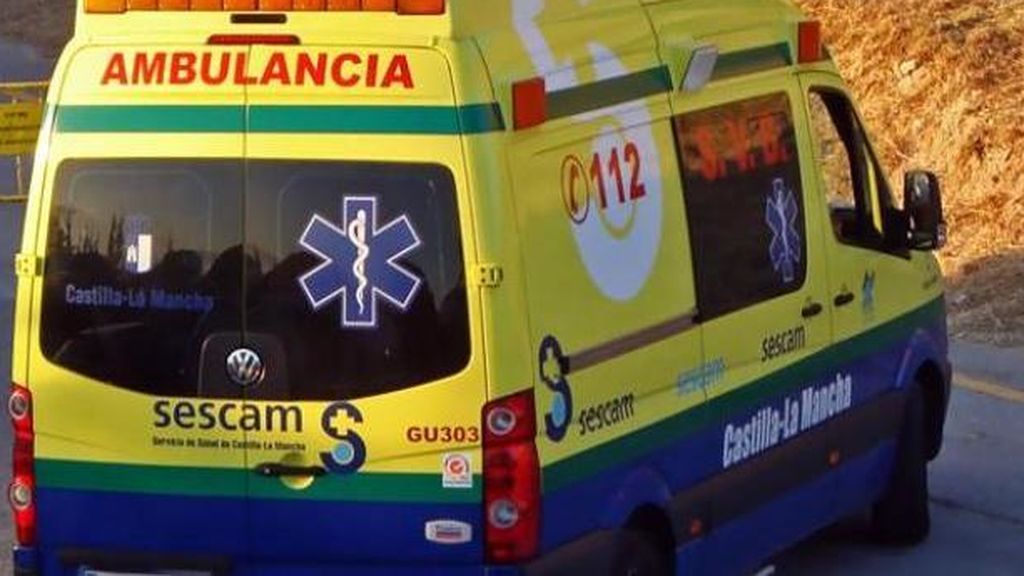 Una mujer atacada por tres perros de raza peligrosa en Guadalajara Una mujer atacada por tres perros de raza peligrosa en Guadalajara
