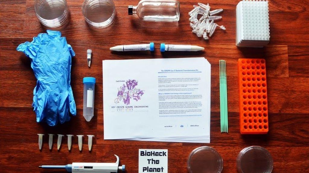 ¿Tener más memoria, músculo, ser resistente a la gripe...? Llegan los kits para editar tu adn sin salir de casa ¿Tener más memoria, músculo, ser resistente a la gripe...? Llegan los kits para editar tu adn sin salir de casa