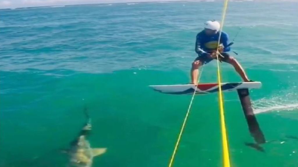 Choca con un tiburón mientras  hace kitesurfing