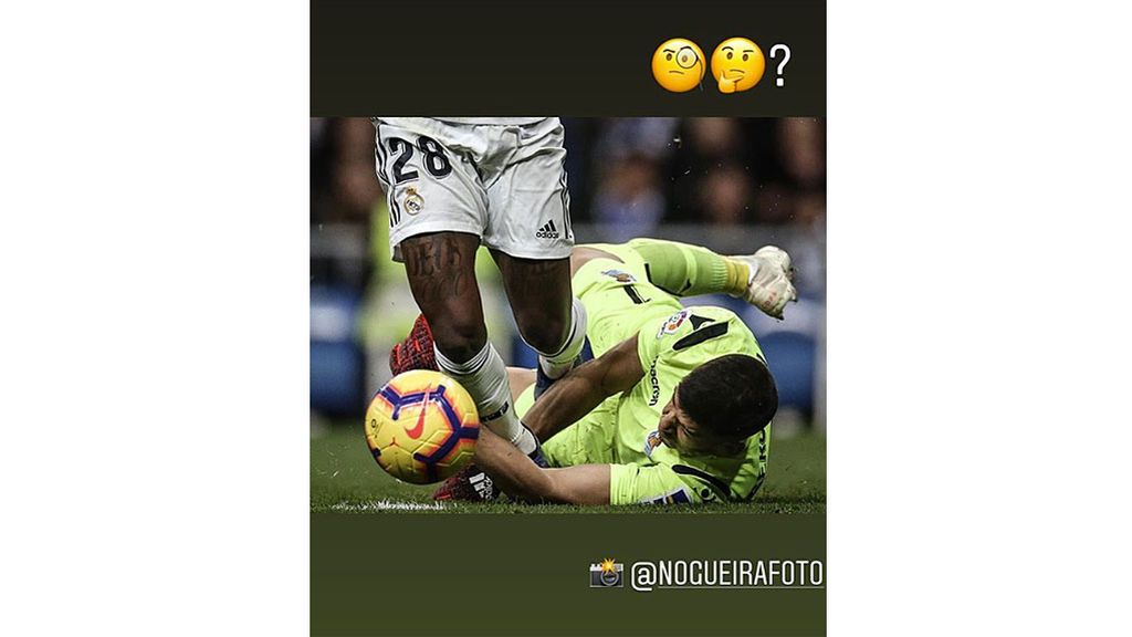 vini