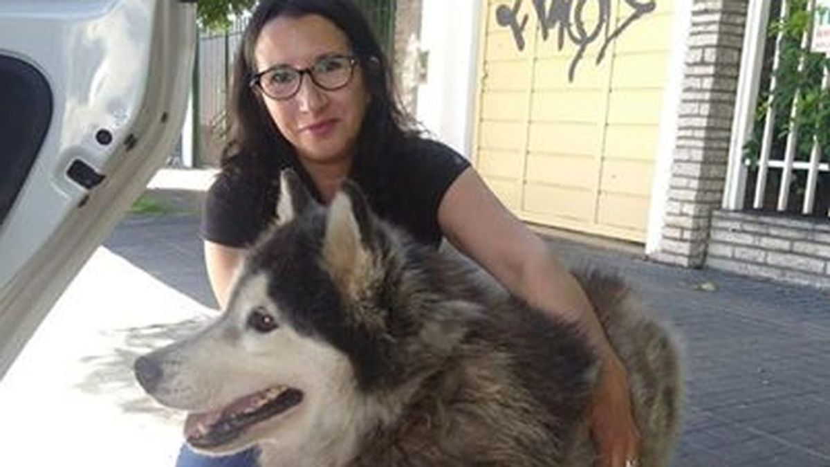 Recuperan a su perro robado seis años después tras localizarlo a través de Facebook