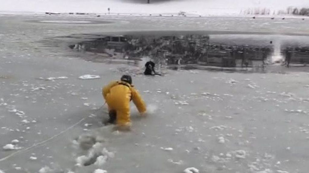 Rescate de un perro atrapado en mitad del hielo