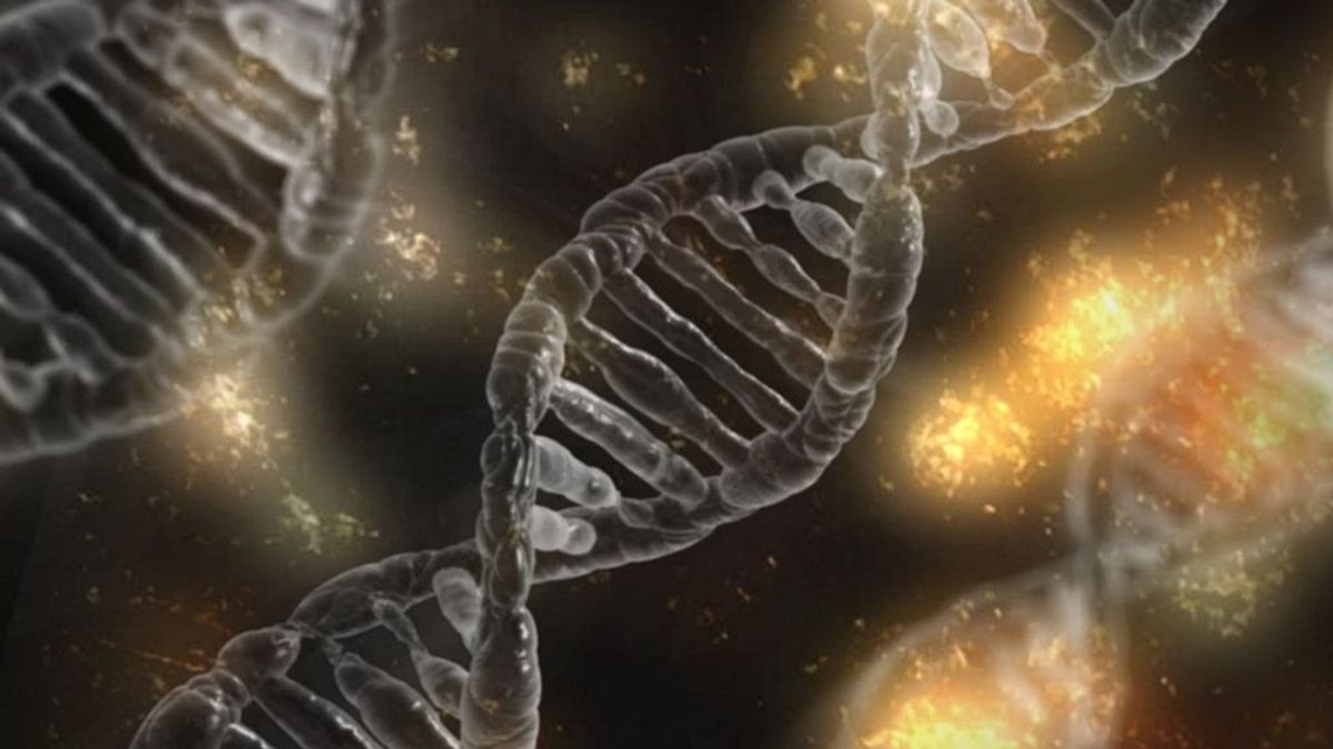 Los científicos localizan 124 variantes genéticas que nos llevan a tomar decisiones arriesgadas