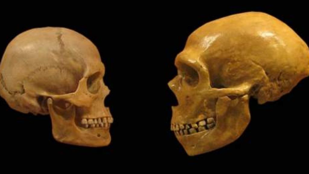 Un homínido extinto podría explicar la historia de la humanidad