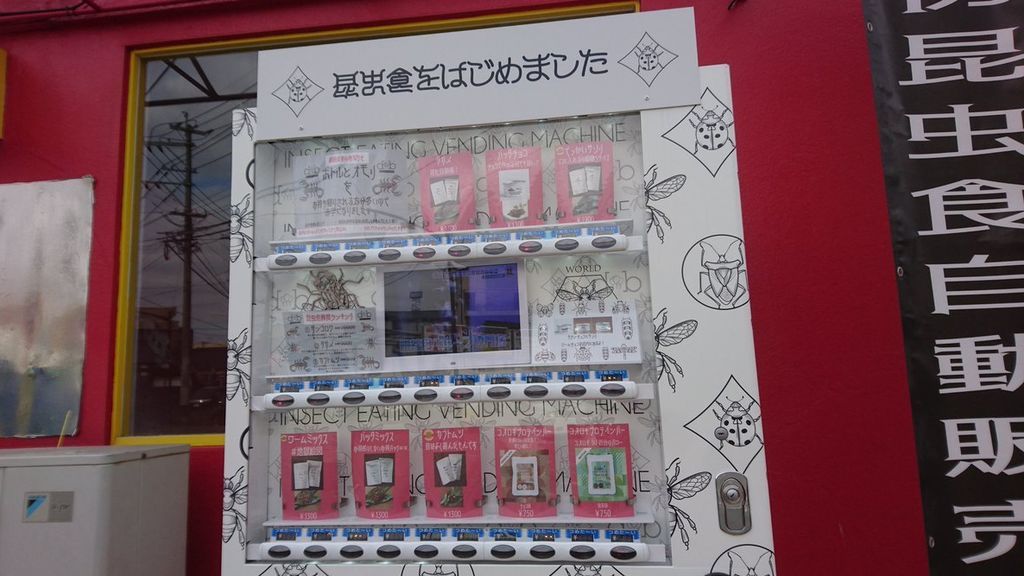 Insectos comestibles: un empresario japonés gana 4.000€ gracias a una máquina expendedora de bichos