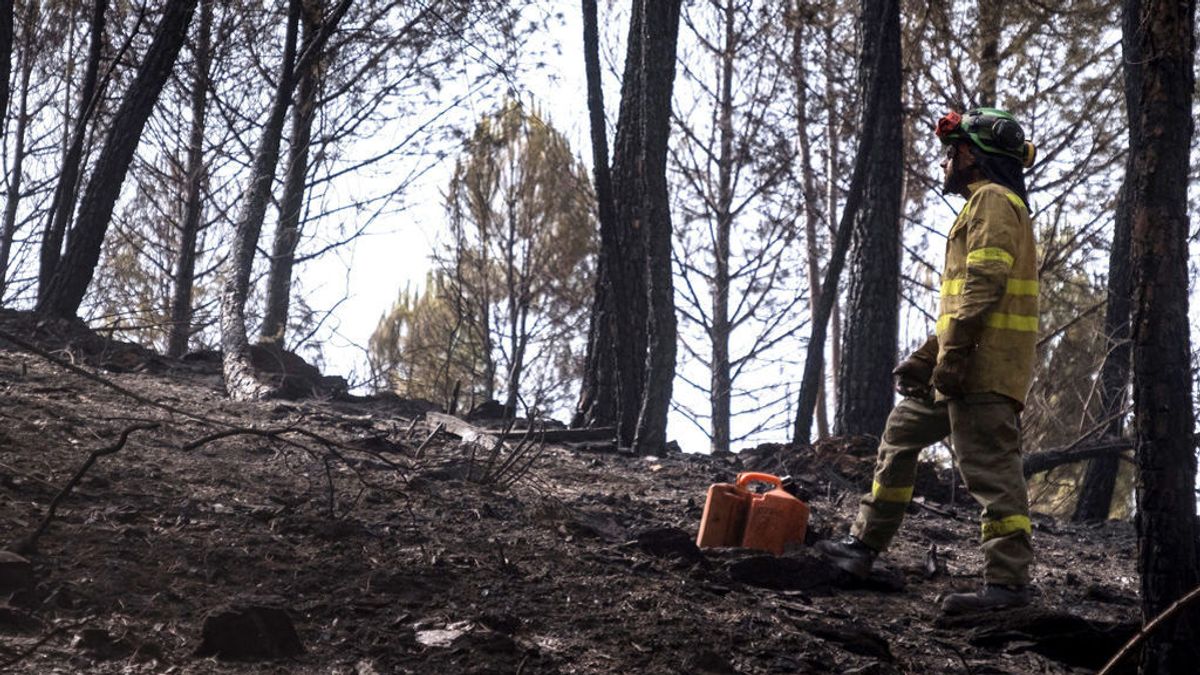 2018 es el año con menos hectáreas quemadas de este siglo (25.162) y el segundo mejor desde 1961