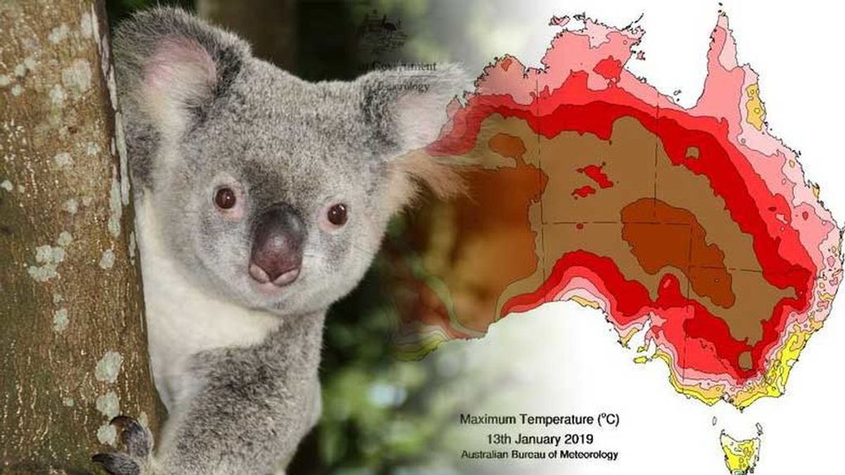 Hasta 50 ºC en Australia: la ola de calor es la más larga desde 2011