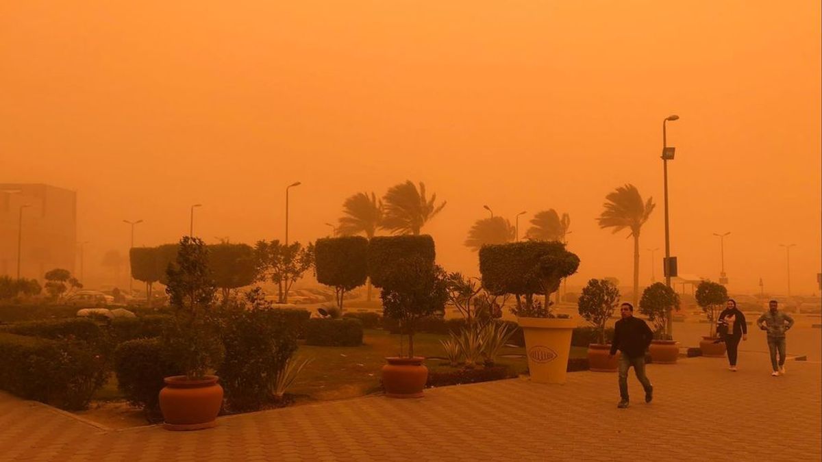 Una tormenta de arena se cobra cinco vidas en Egipto y paraliza varias ciudades