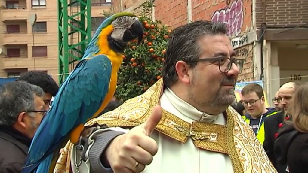 Las mascotas más devotas toman las parroquias de España para recibir la bendición de San Antón