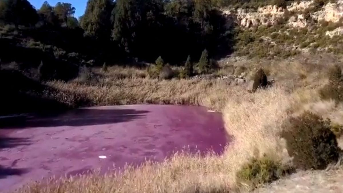 La laguna rosa de Cuenca se ha congelado y parece sacada de un cuento