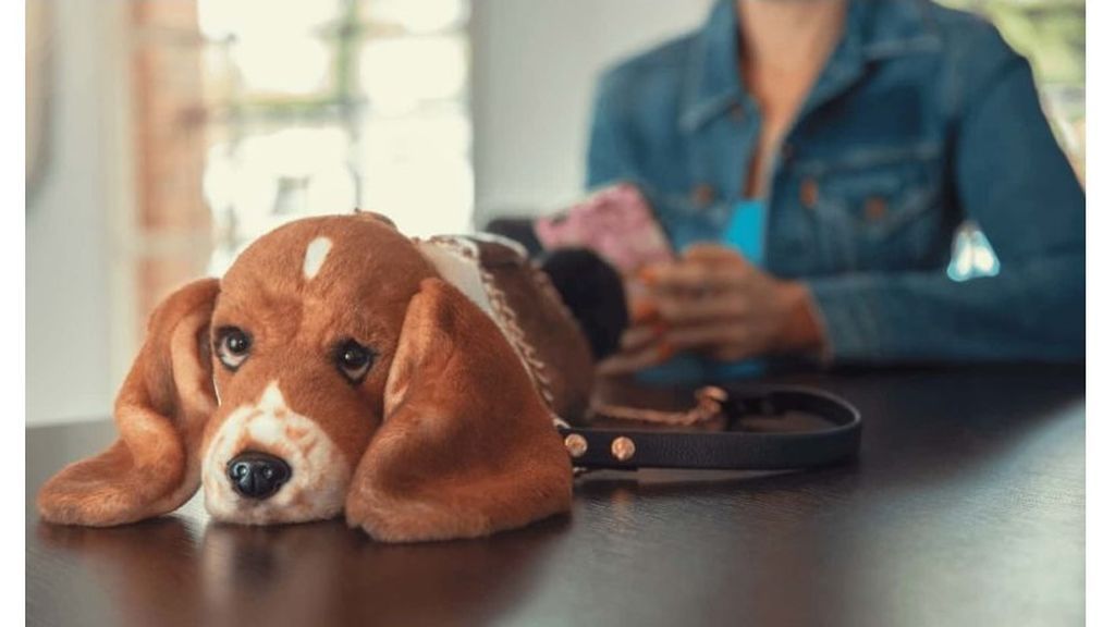 Pet-Purse-Optimized-800x480