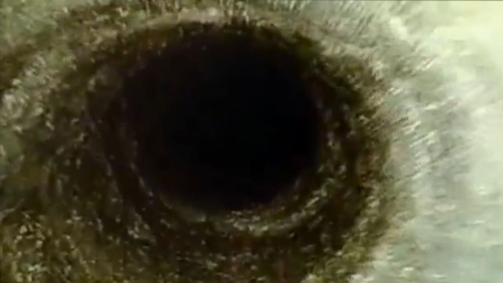 Cómo será el análisis judicial en el pozo de Totalán