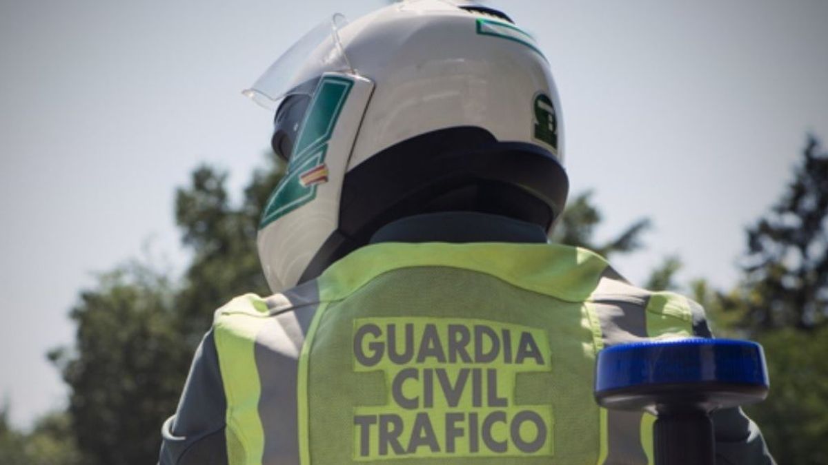 Muere un conductor que circulaba en sentido contrario tras chocar contra un camión en Córdoba