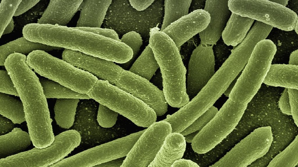 Hallan un nuevo 'bloqueador' de bacterias