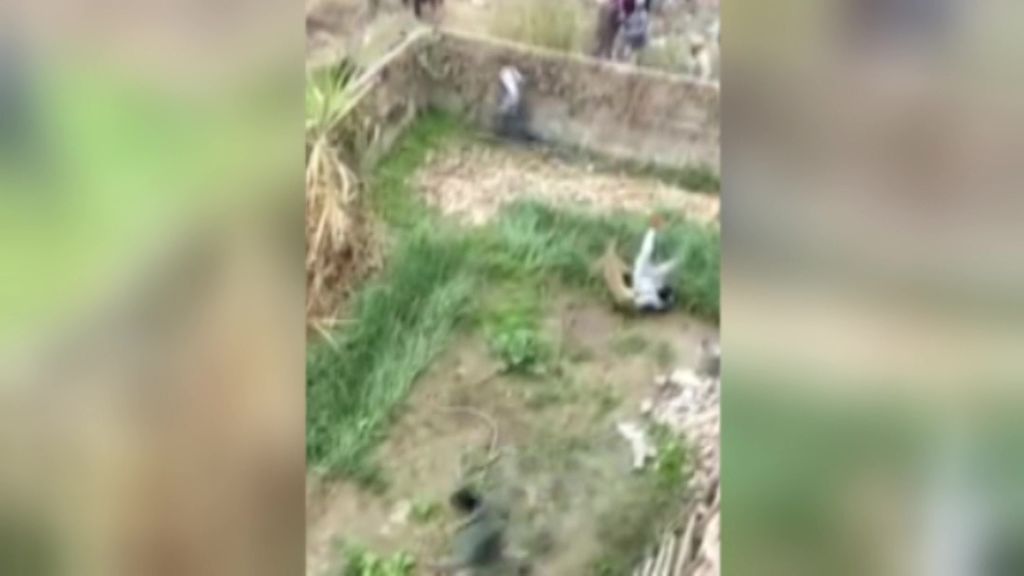 Un leopardo ataca a seis hombres al norte de la India sembrando el pánico en una aldea