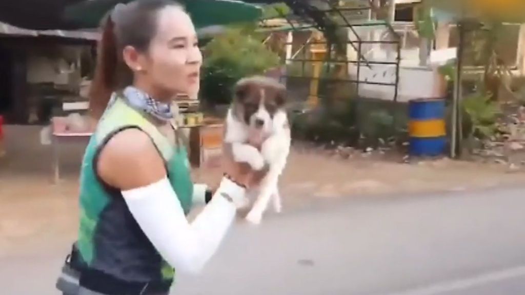 Bonito gesto de una corredora de maratón que encuentra un cachorro en plena carrera