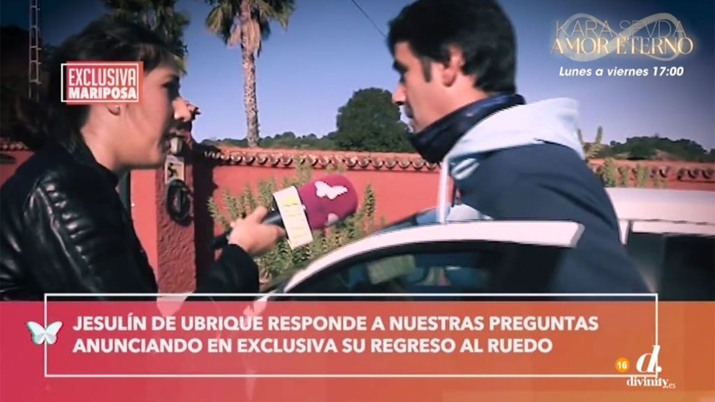 'Cazamariposas 2ª edición' (01/02/2019), completo