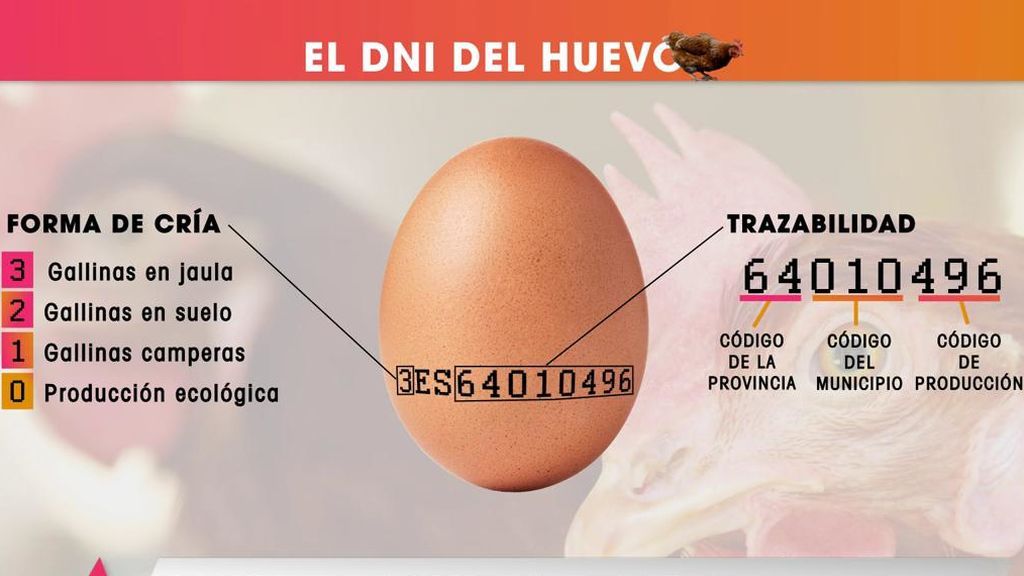 El DNI del huevo: te enseñamos qué significan los números de su cáscara