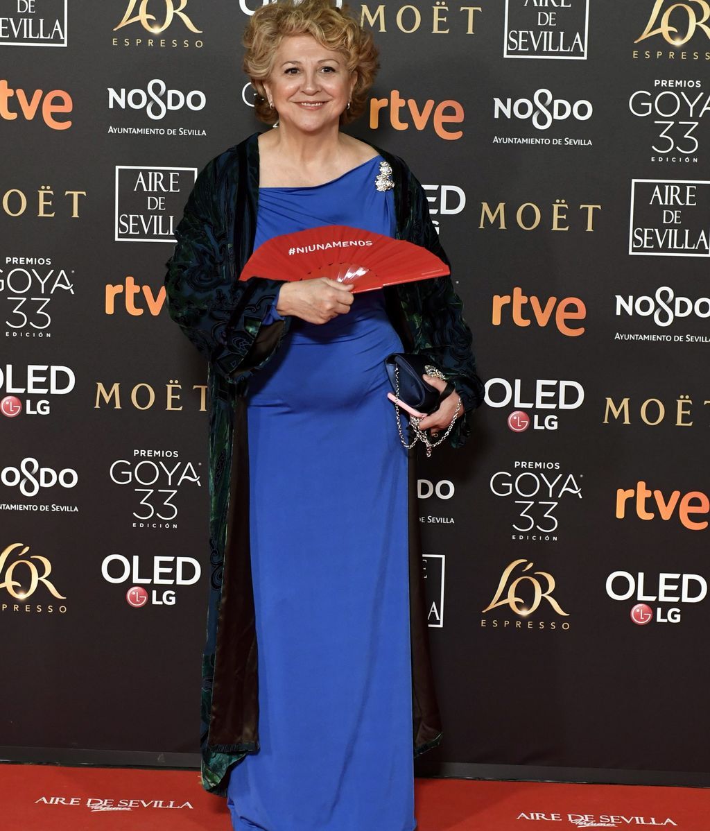 La alfombra roja de los Premios Goya 2019, foto a foto