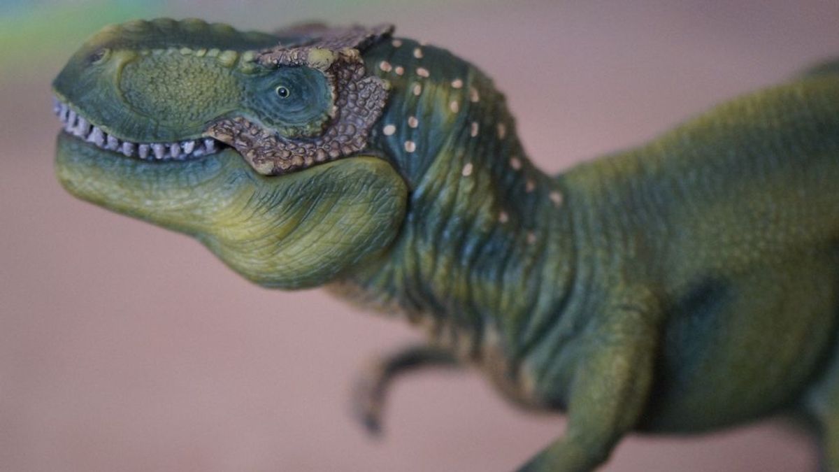 Los niños que sienten pasión por los dinosaurios son más inteligentes