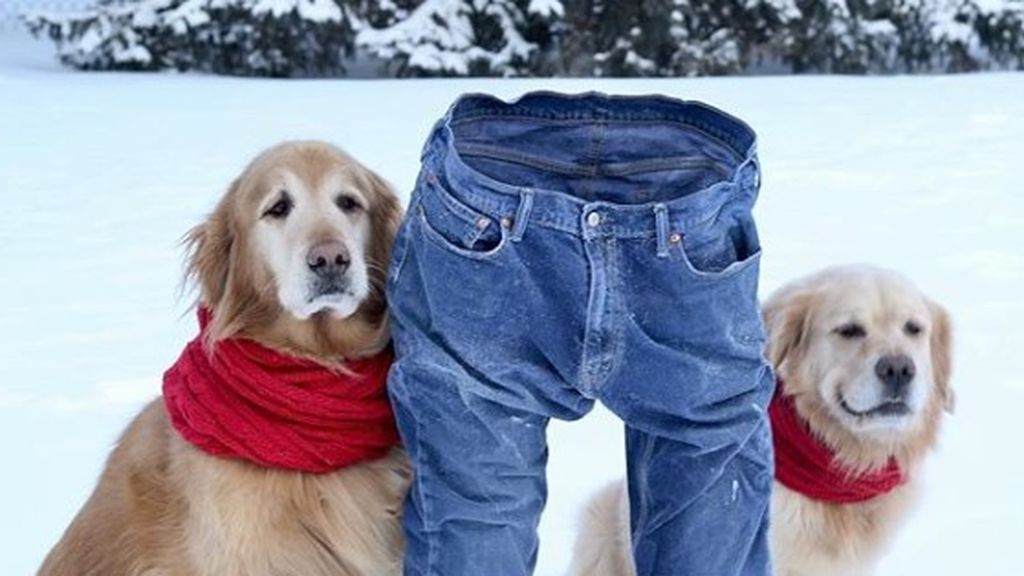 'Pantalones congelados', el reto que se ha hecho viral en EEUU con la ola de frío