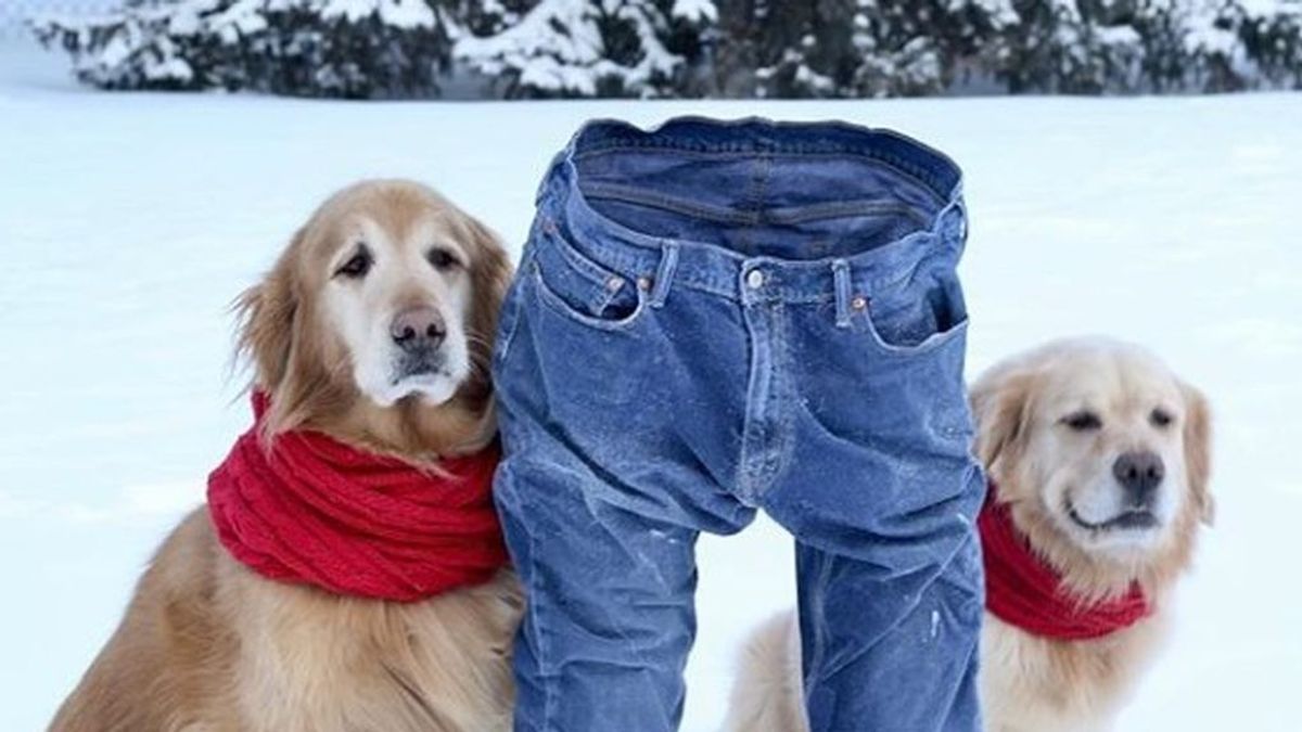 'Pantalones congelados', el reto que se ha hecho viral en EEUU con la ola de frío