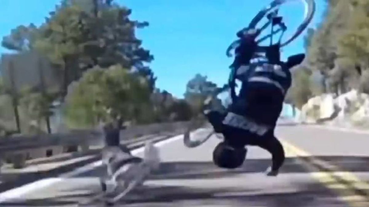 El brutal accidente del ciclista Reed Soehnel tras chocar contra un ciervo en pleno descenso El brutal accidente del ciclista Reed Soehnel tras chocar contra un ciervo en pleno descenso