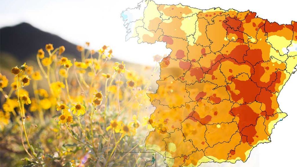 Aperitivo primaveral: llegaremos a los 24ºC en Murcia, y a los 20ºC en Andalucía