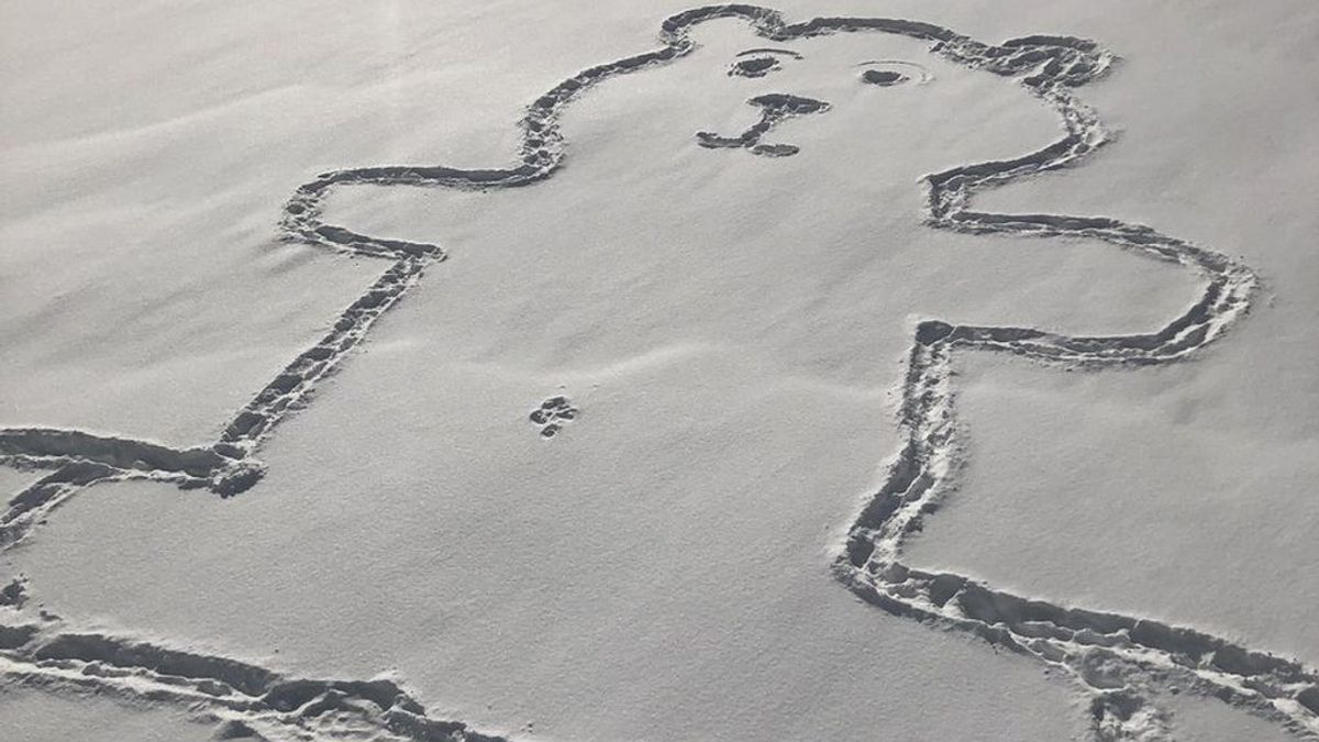 Usa tu cabecita: cómo le dibujaron el ombligo a este oso sin pisar la nieve