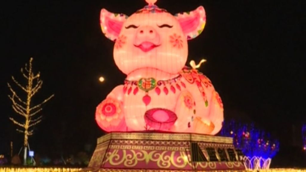 Año Nuevo Chino: el cerdo como símbolo de abundancia y prosperidad
