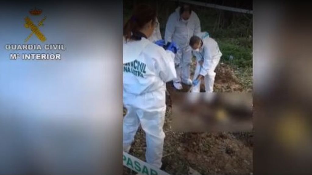 Localizan el cadáver de un irlandés que había desaparecido en septiembre en Torrevieja