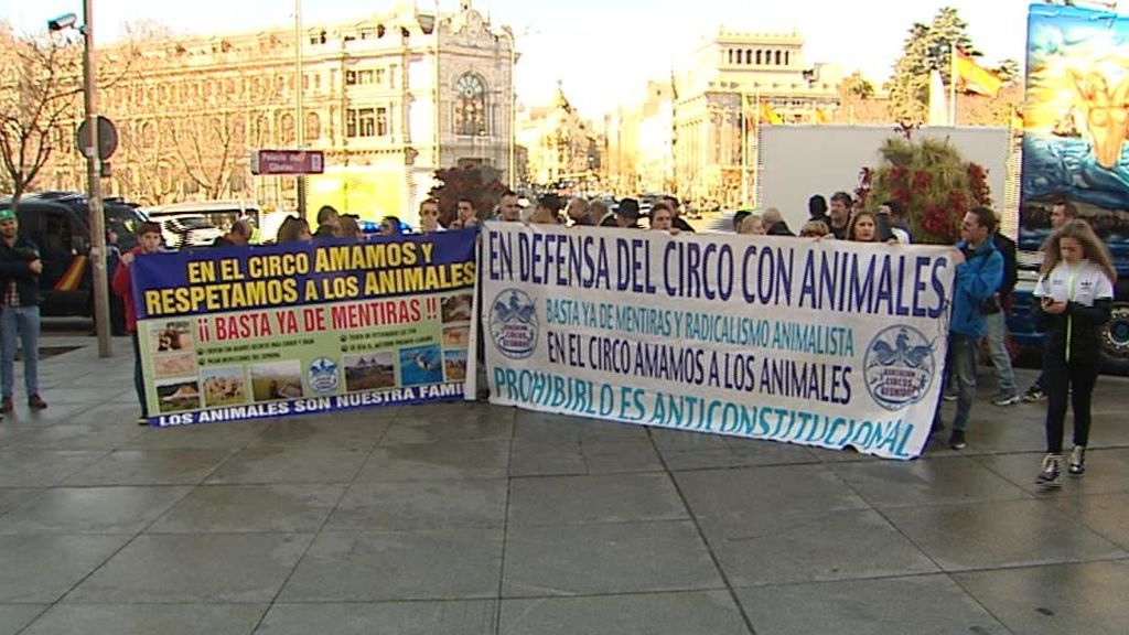 Ante su inminente prohibición, el circo con animales protesta en la calle