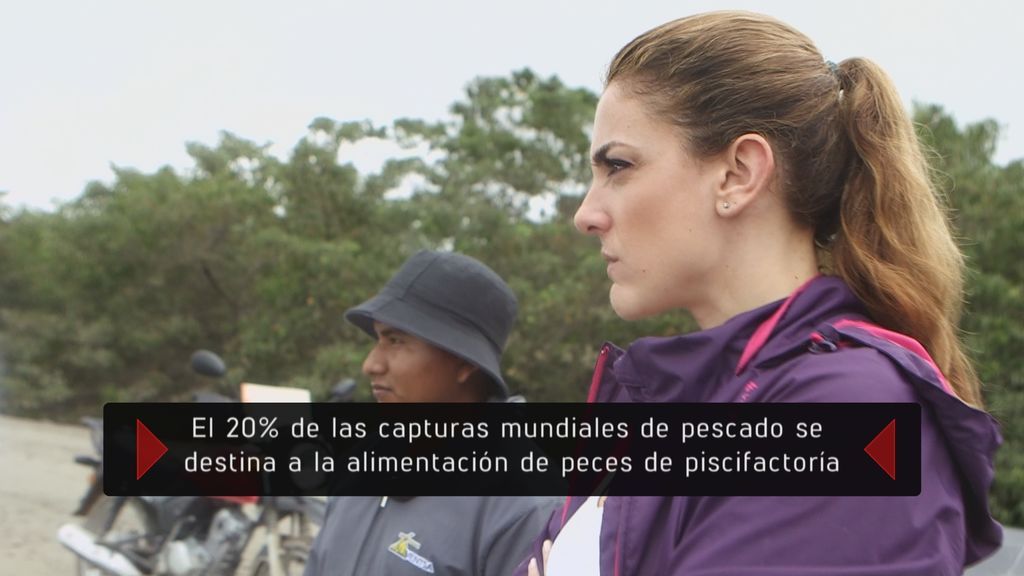 Programa 100 de 'En el punto de mira'.