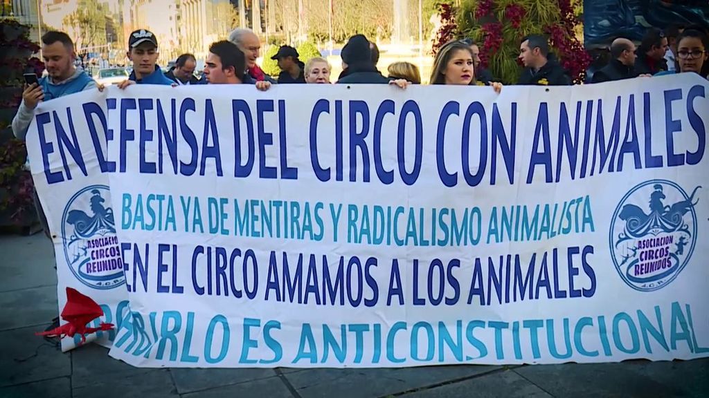 Carmena quiere prohibir la presencia de animales en circos y la comunidad circense se manifesta: “Son entrenados con cariño”