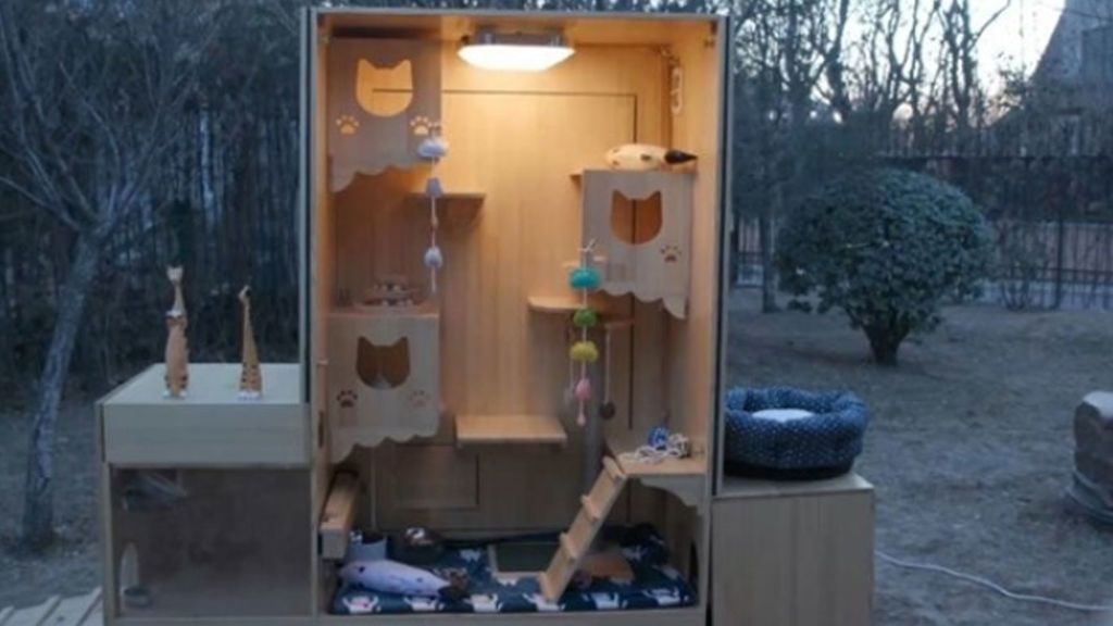 Los gatos callejeros chinos tienen un refugio inteligente que detecta sus enfermedades y los identifica Los gatos callejeros chinos tienen un refugio inteligente que detecta sus enfermedades y los identifica