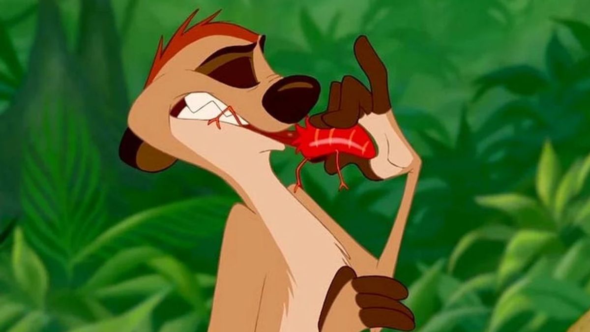 Feliz San Valentín: ponle el nombre de tu ex a una cucaracha que un zoo se lo dará de comer a un suricato
